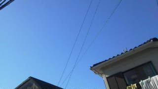 20111116103005.jpg