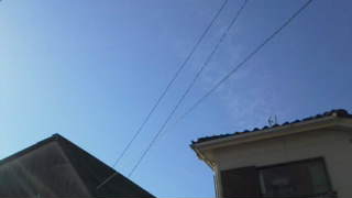 20111205120308.jpg